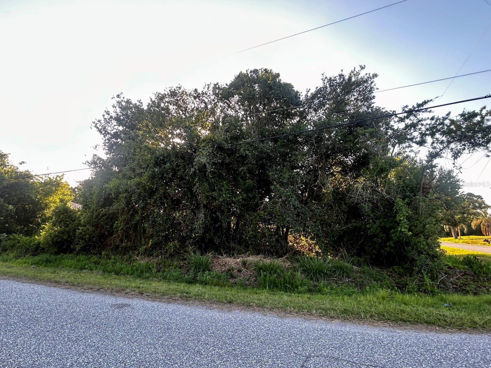 LOT 12 TOPEKA LN — photo 4