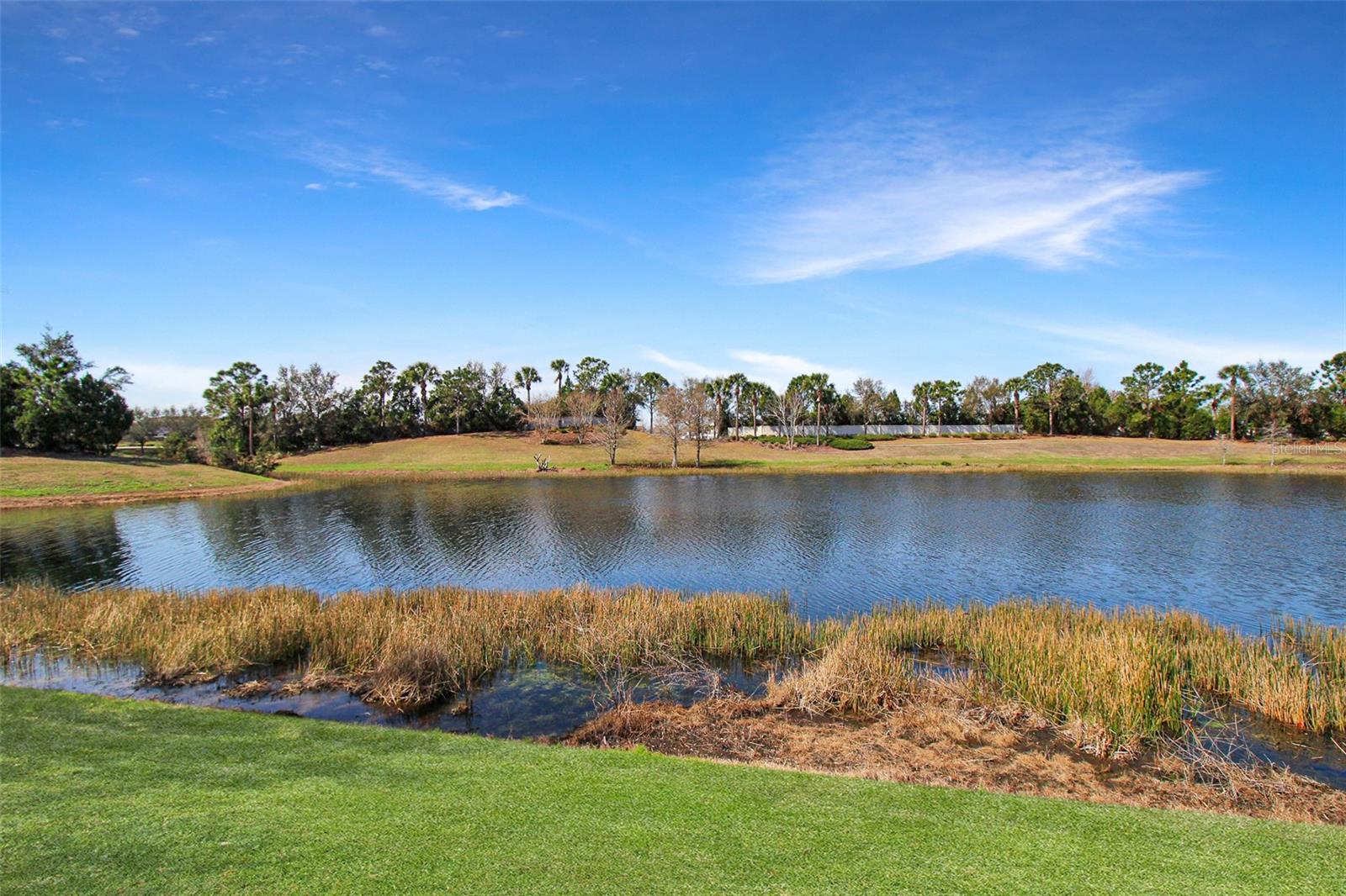 5336 VACCARO CT — photo 8