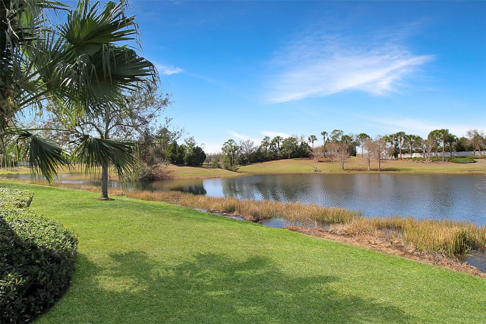 5336 VACCARO CT — photo 6