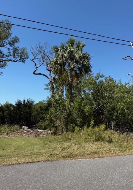 SEA BREEZE DR — photo 3