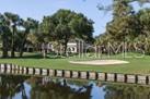 1 CAROLL CIR — photo 42
