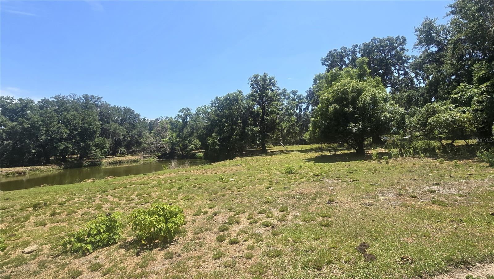 3101 MEDULLA RD — photo 60