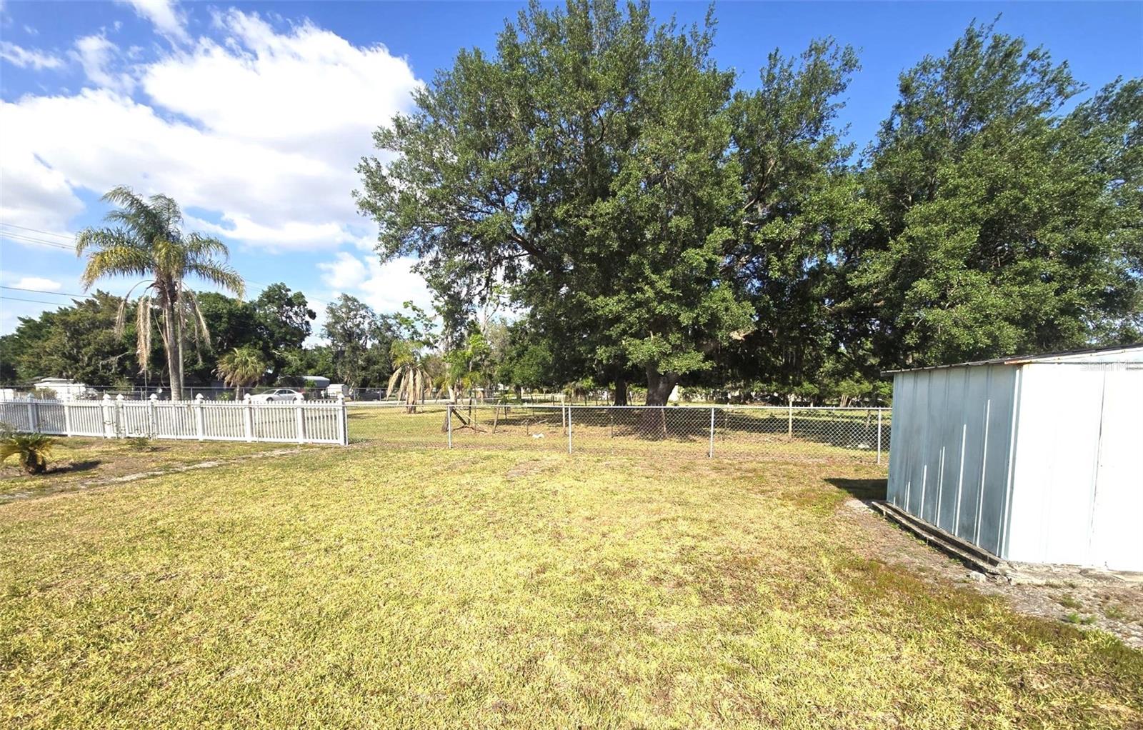 3101 MEDULLA RD — photo 39