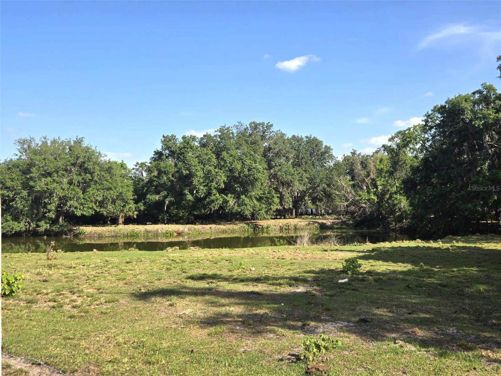 3101 MEDULLA RD — photo 58