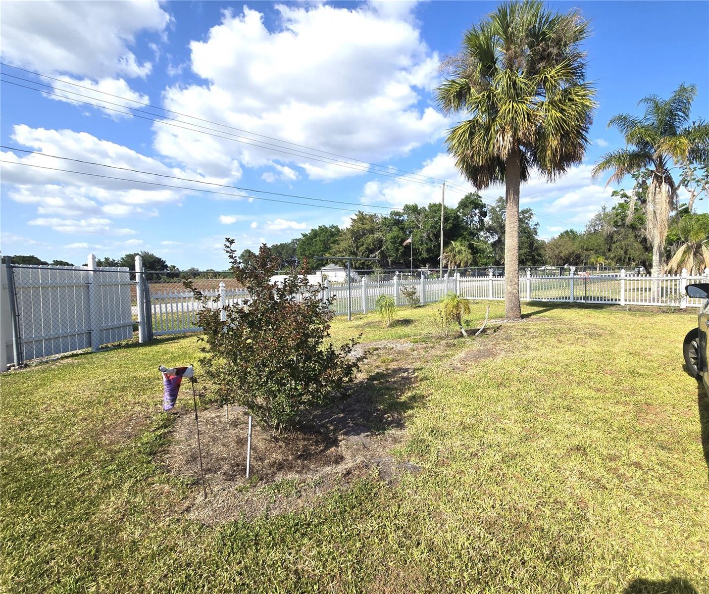 3101 MEDULLA RD — photo 16