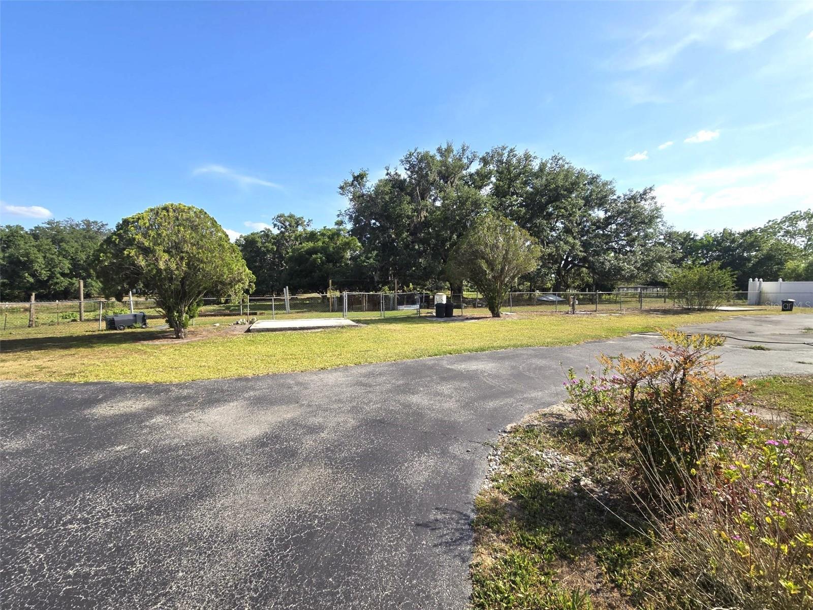 3101 MEDULLA RD — photo 41