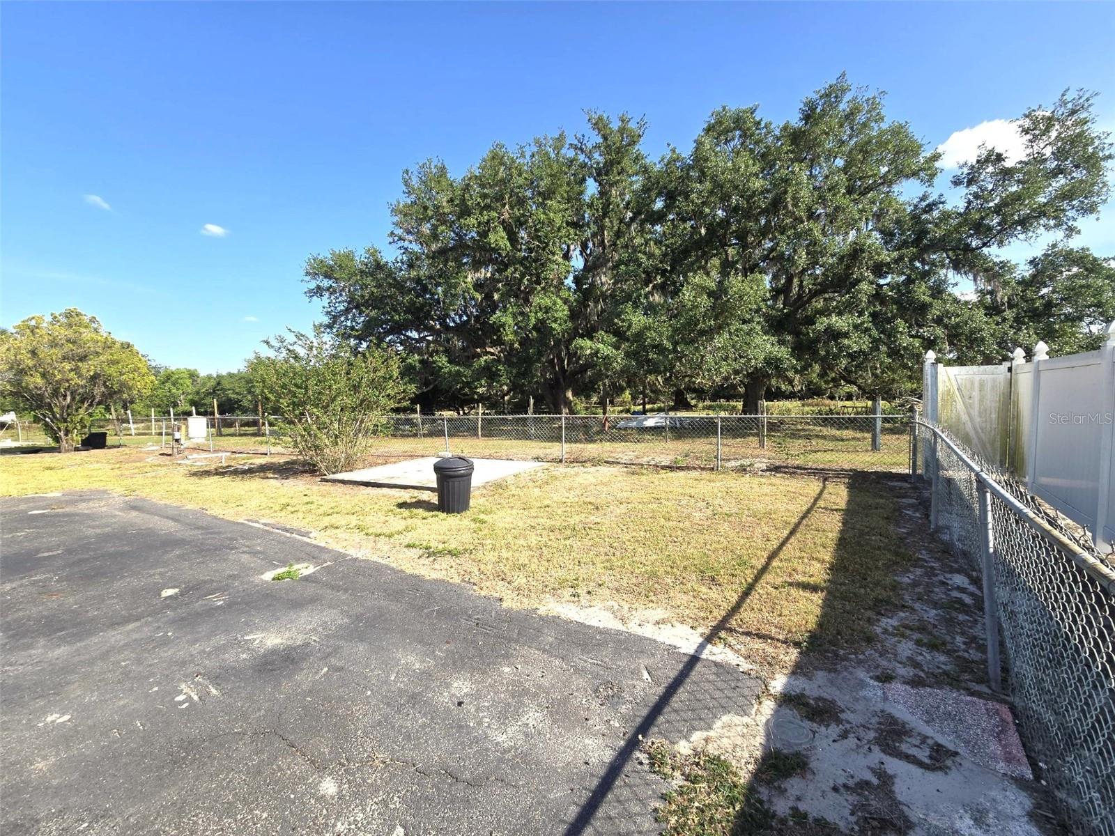 3101 MEDULLA RD — photo 50