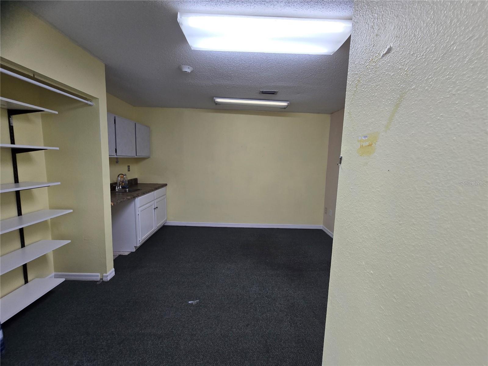 8726 OLD COUNTY ROAD 54 — photo 58