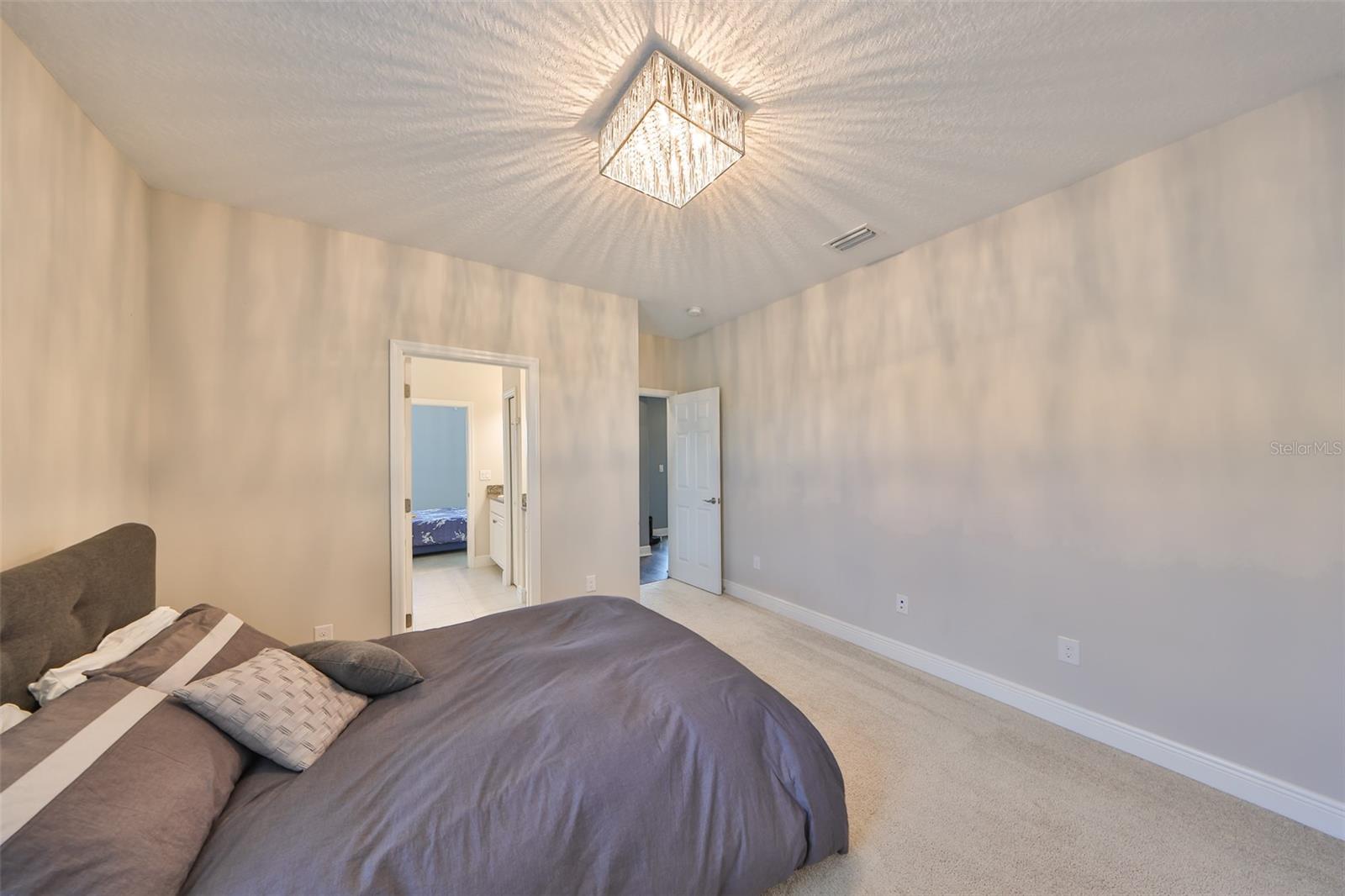 11909 CLIMBING FERN AVE — photo 42