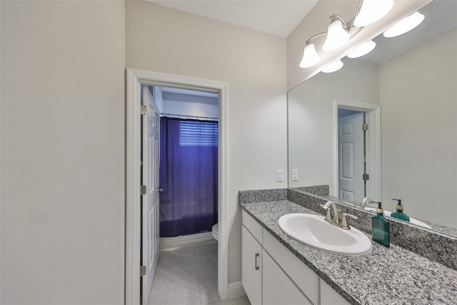 11909 CLIMBING FERN AVE — photo 43