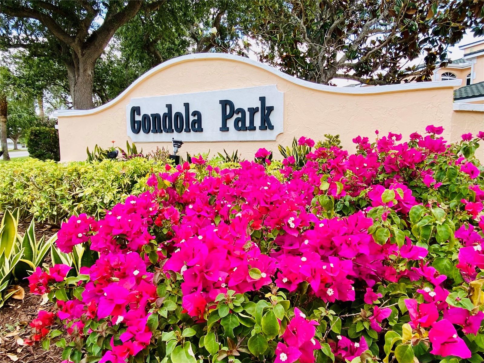 801 GONDOLA PARK DR #801 — photo 16