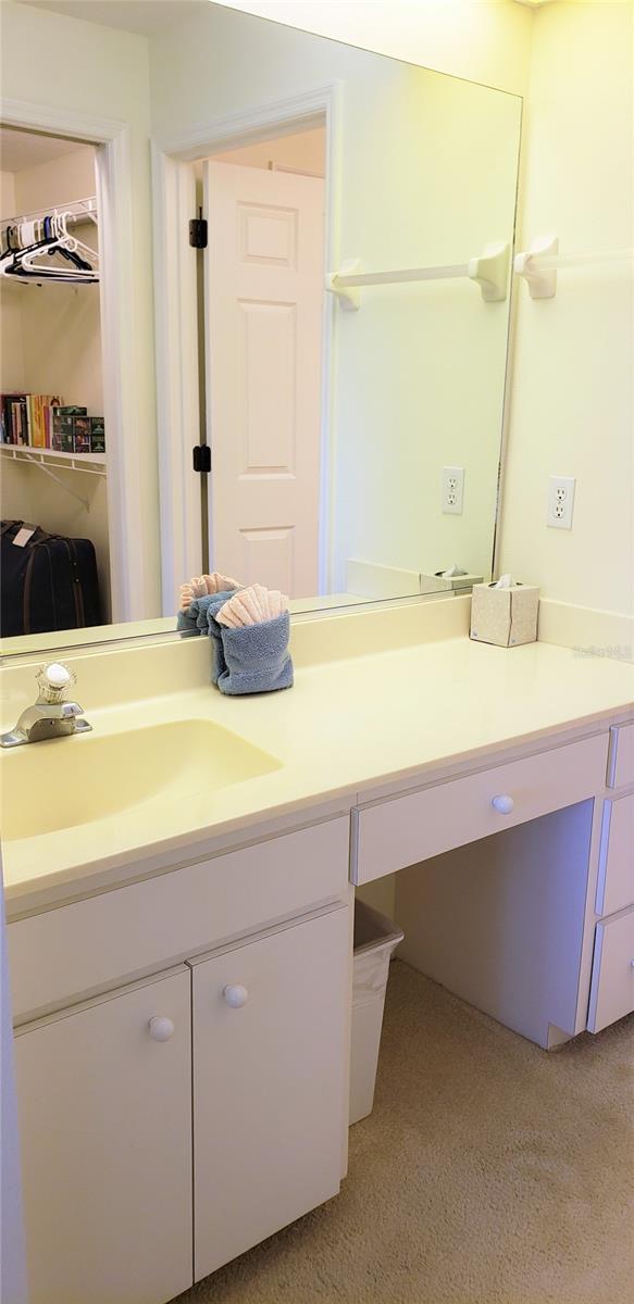 5678 SHEFFIELD GREENE CIR #76 — photo 10