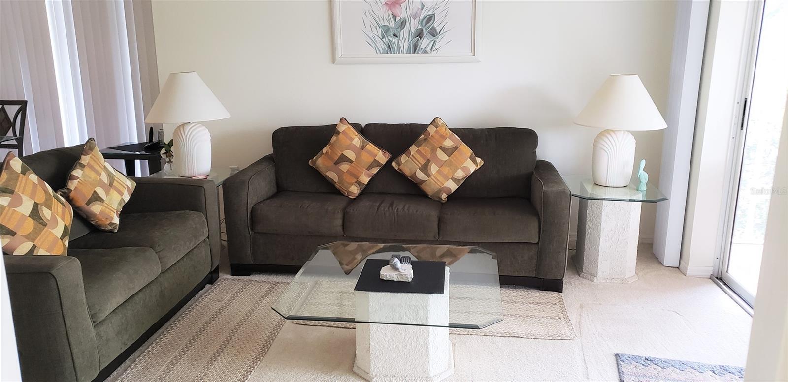 5678 SHEFFIELD GREENE CIR #76 — photo 7