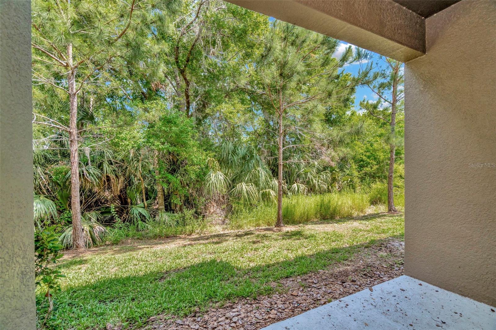 28516 TRANQUIL LAKE CIR — photo 35