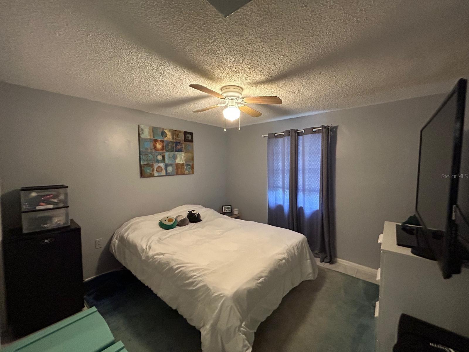 Home in NEW PORT RICHEY — photo 22
