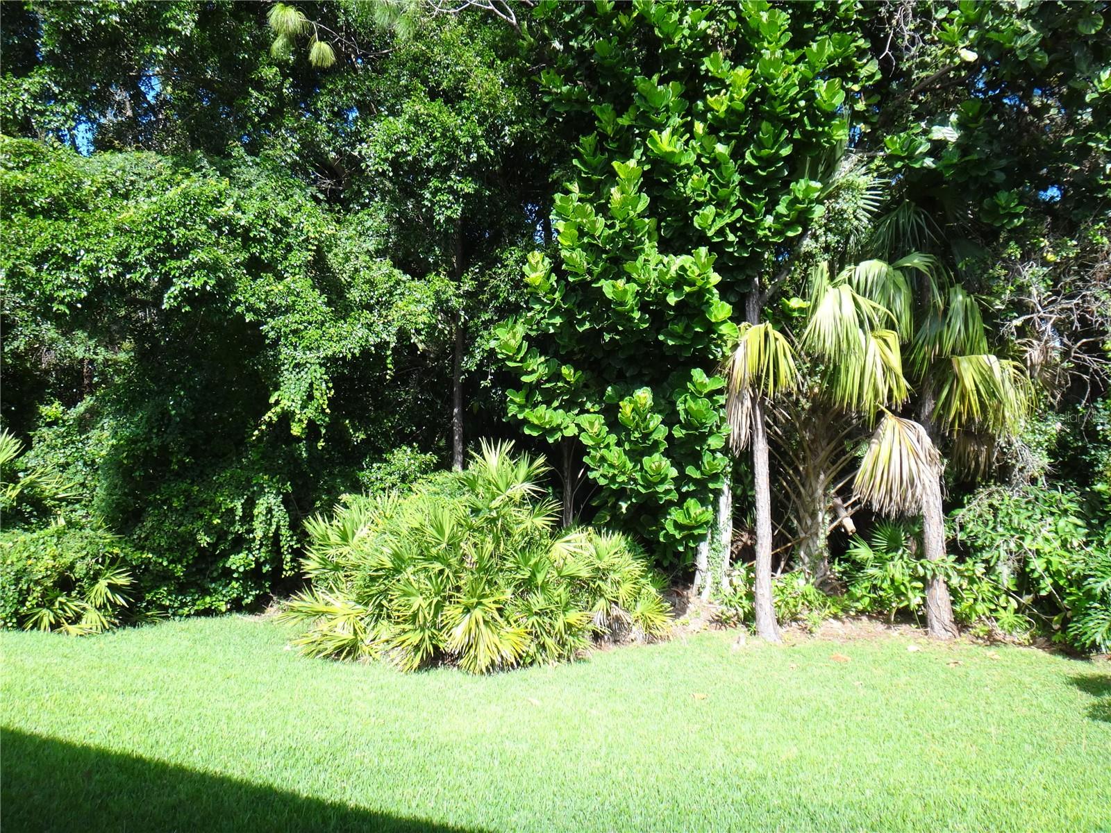 Home in SARASOTA — photo 22