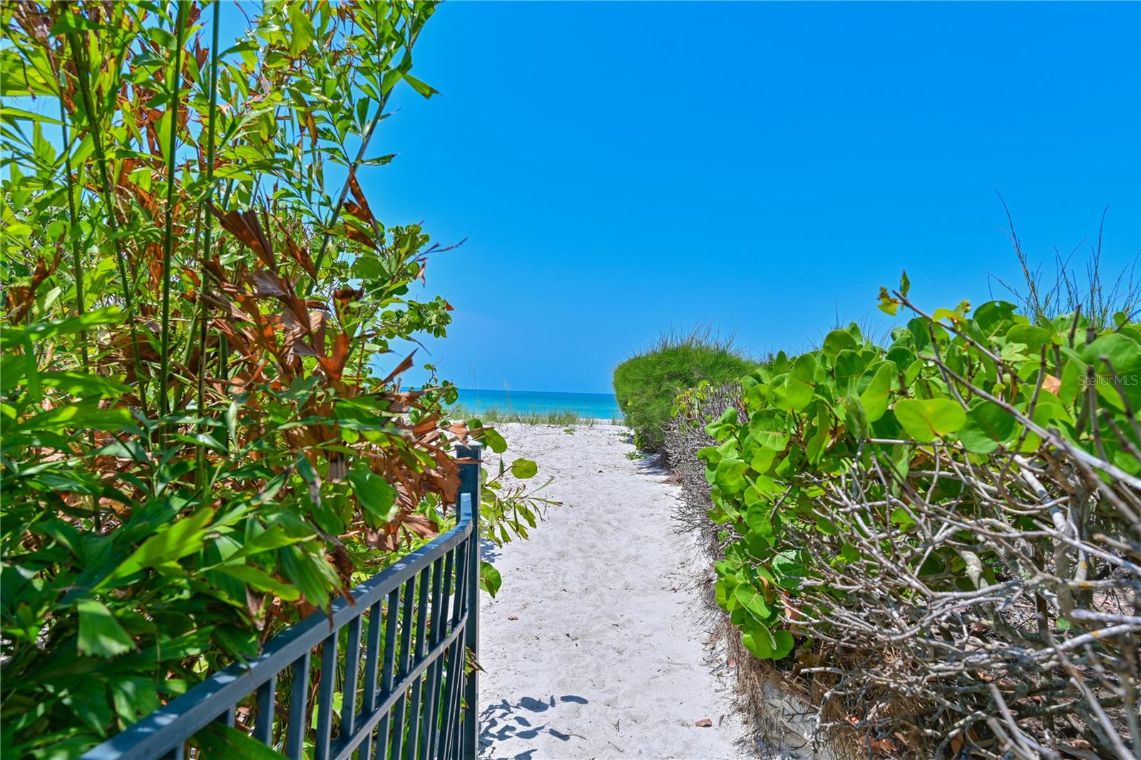 5924 GULF OF MEXICO DR — photo 35