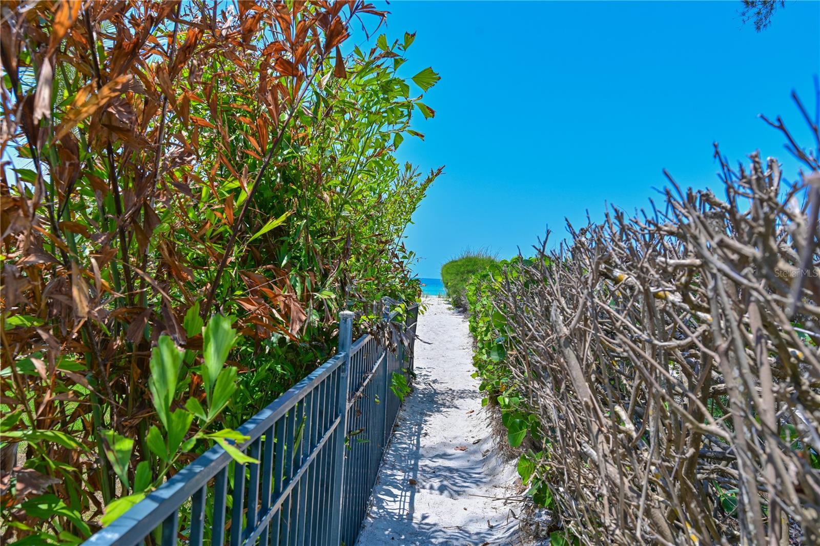 5924 GULF OF MEXICO DR — photo 34