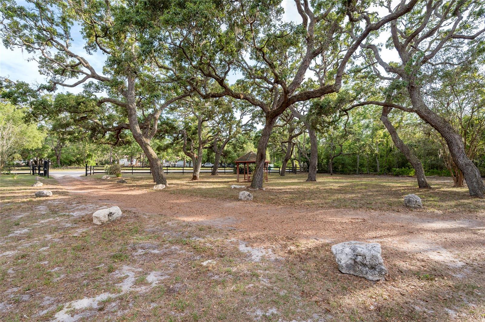 12311 OAKWOOD DR — photo 35