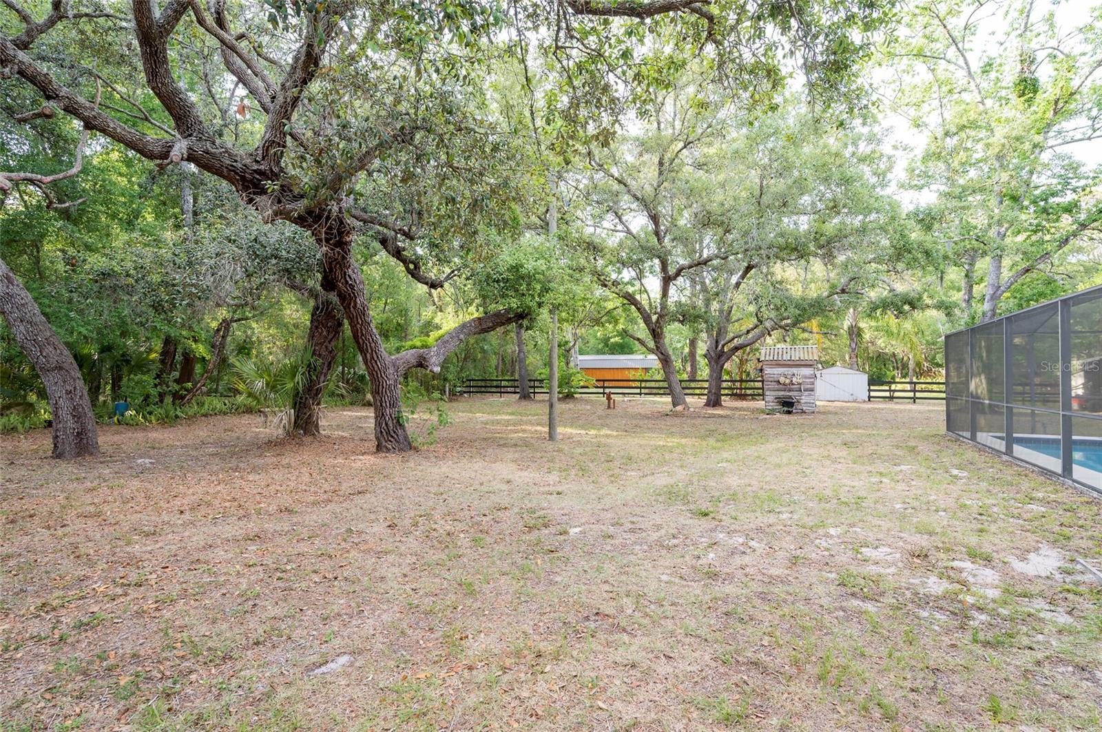 12311 OAKWOOD DR — photo 37