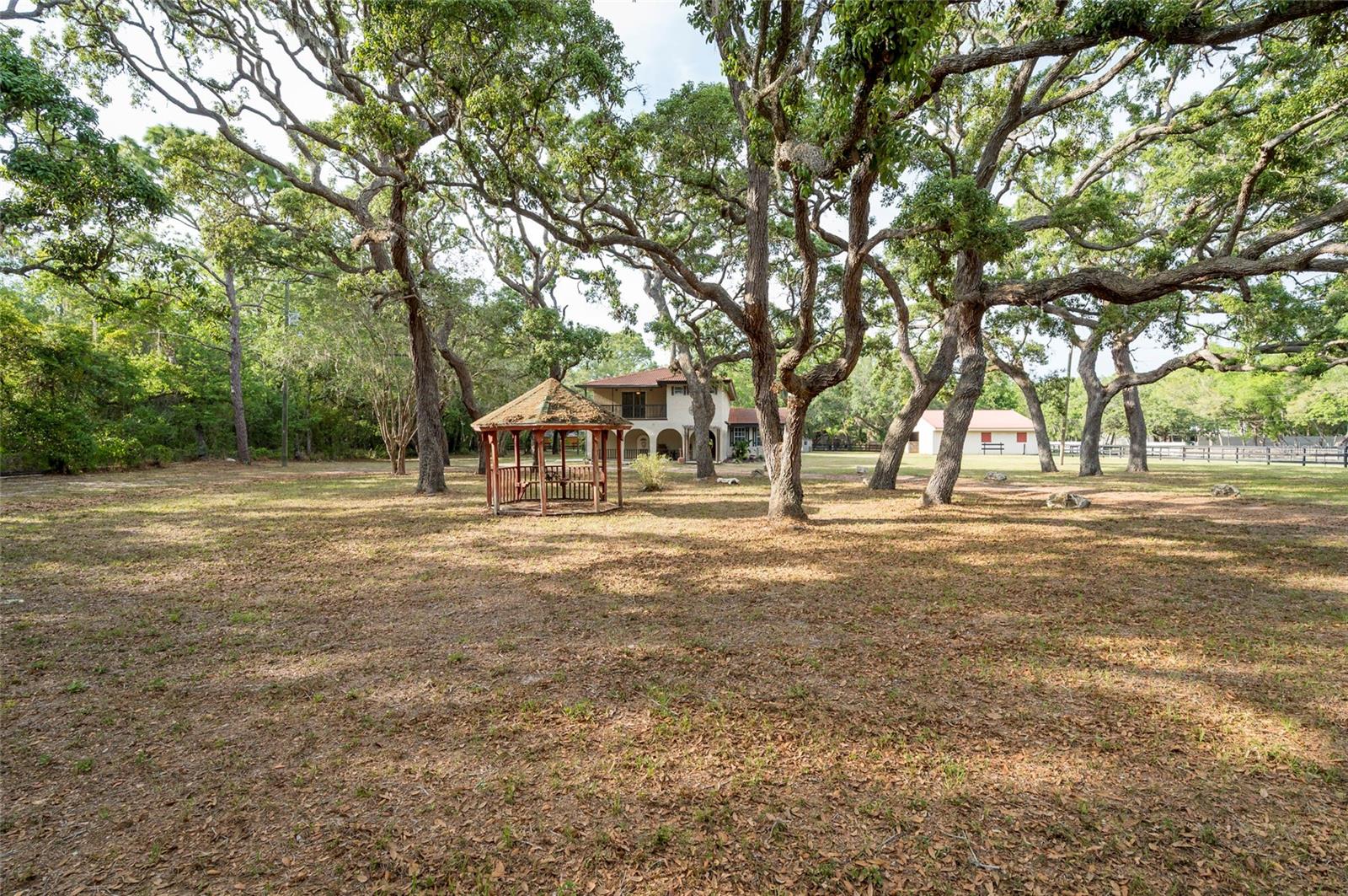 12311 OAKWOOD DR — photo 28