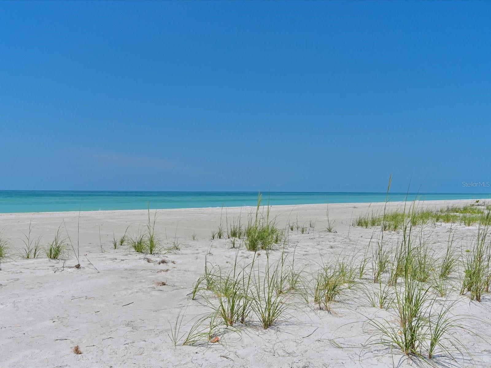 5920 GULF OF MEXICO DR — photo 44