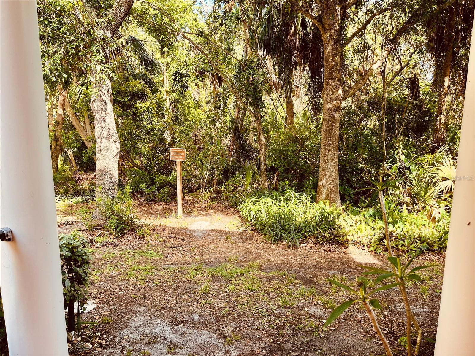184 BANYAN BAY DR — photo 10