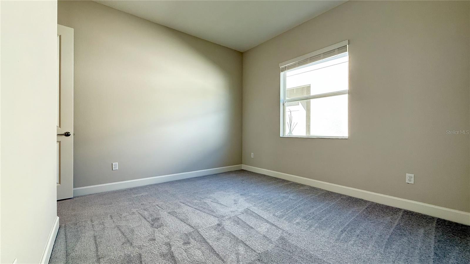 32523 NEROLI ST — photo 23