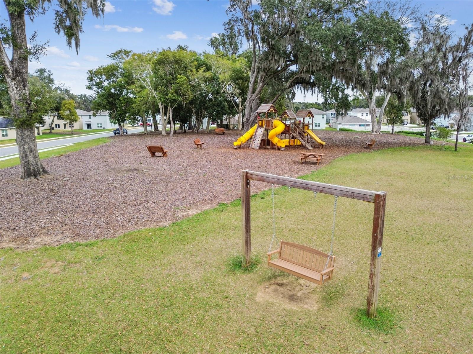 36673 SPANISH ROSE DR — photo 81