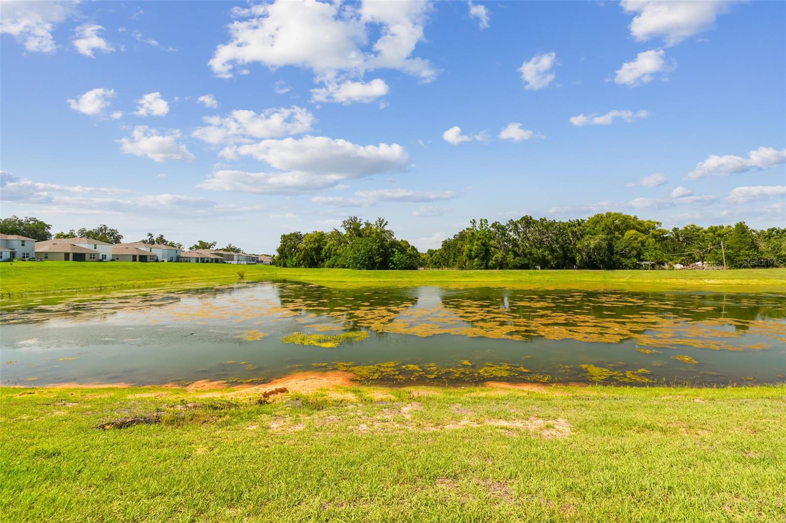 36673 SPANISH ROSE DR — photo 5