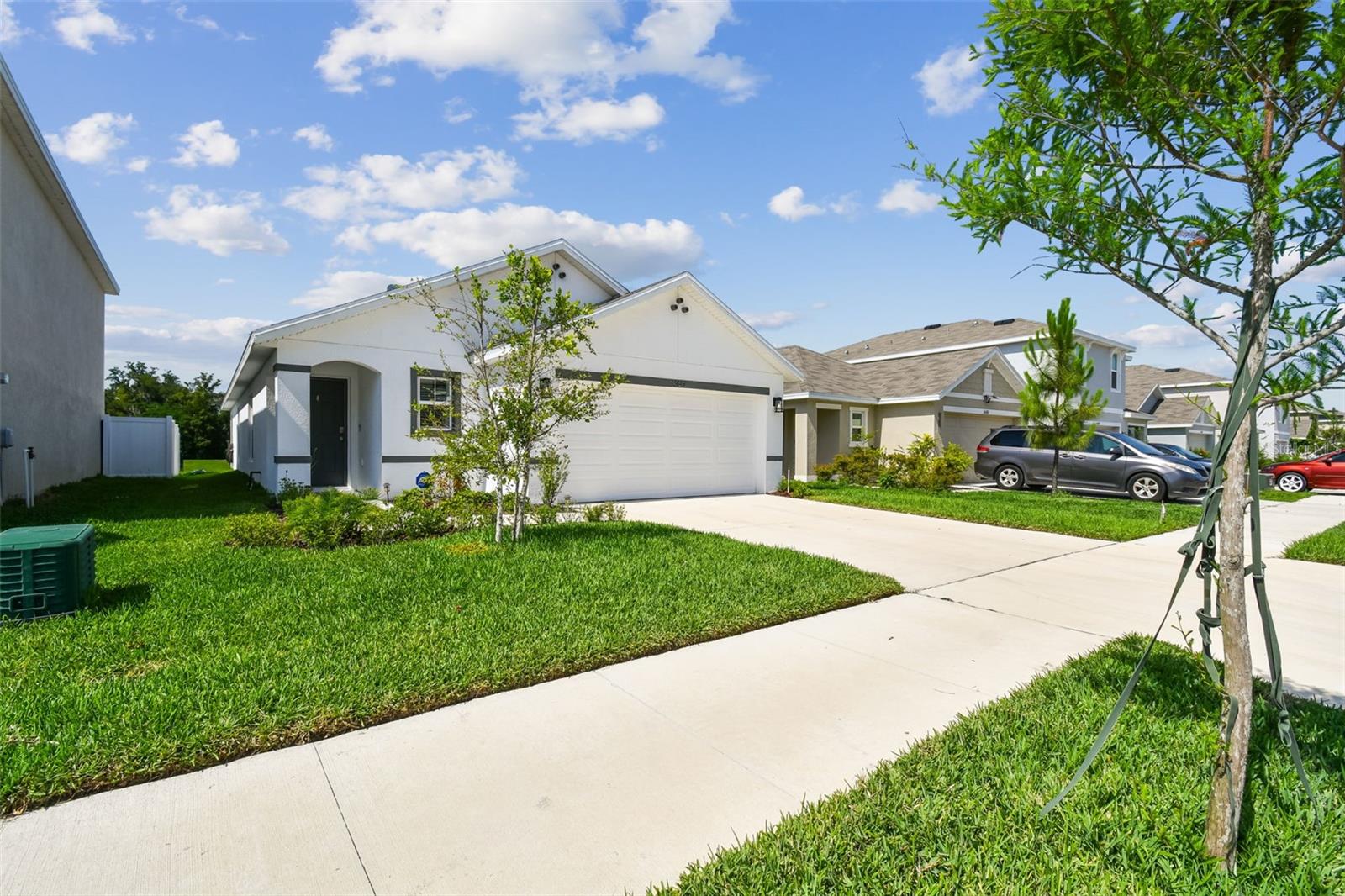 36673 SPANISH ROSE DR — photo 53