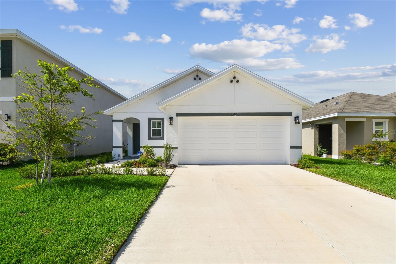 36673 SPANISH ROSE DR — photo 19