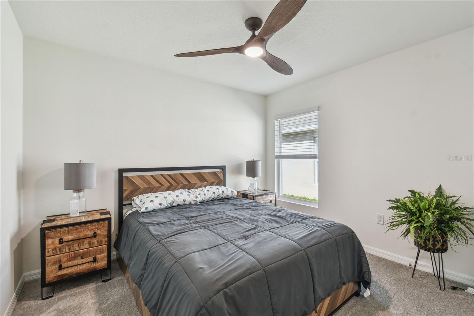 36673 SPANISH ROSE DR — photo 20