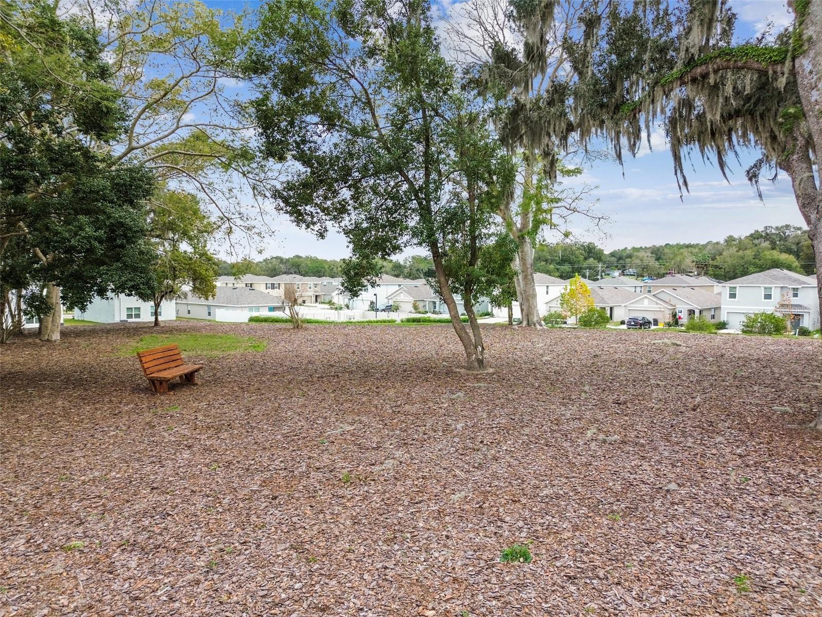 36673 SPANISH ROSE DR — photo 84