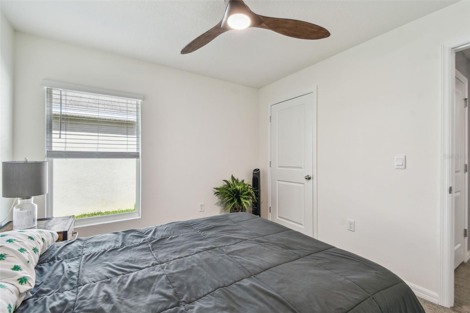 36673 SPANISH ROSE DR — photo 24