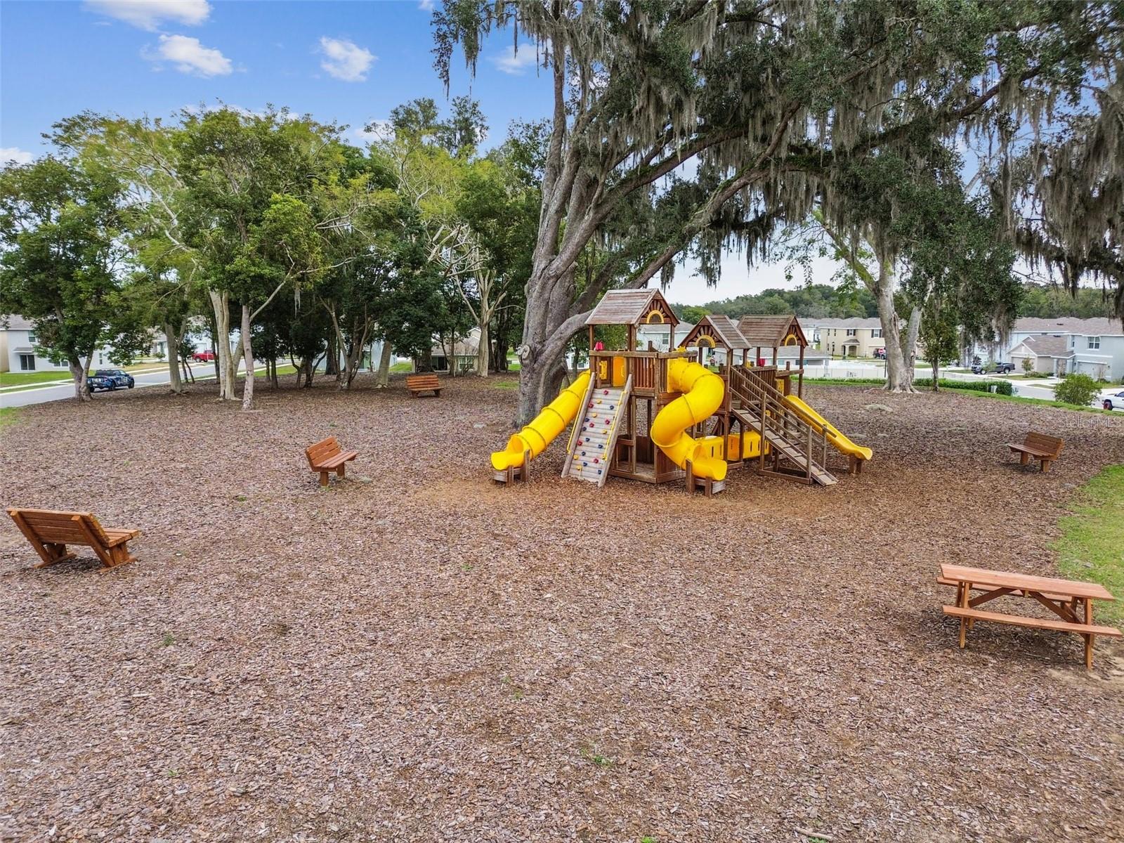 36673 SPANISH ROSE DR — photo 82