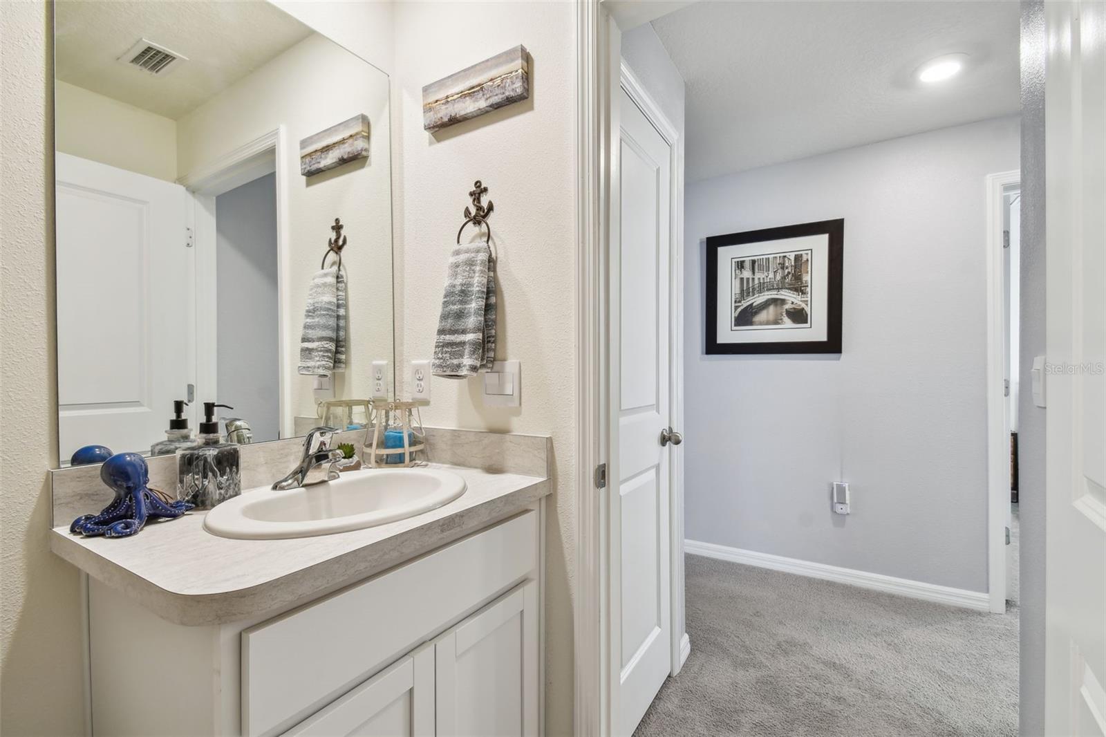 36673 SPANISH ROSE DR — photo 33