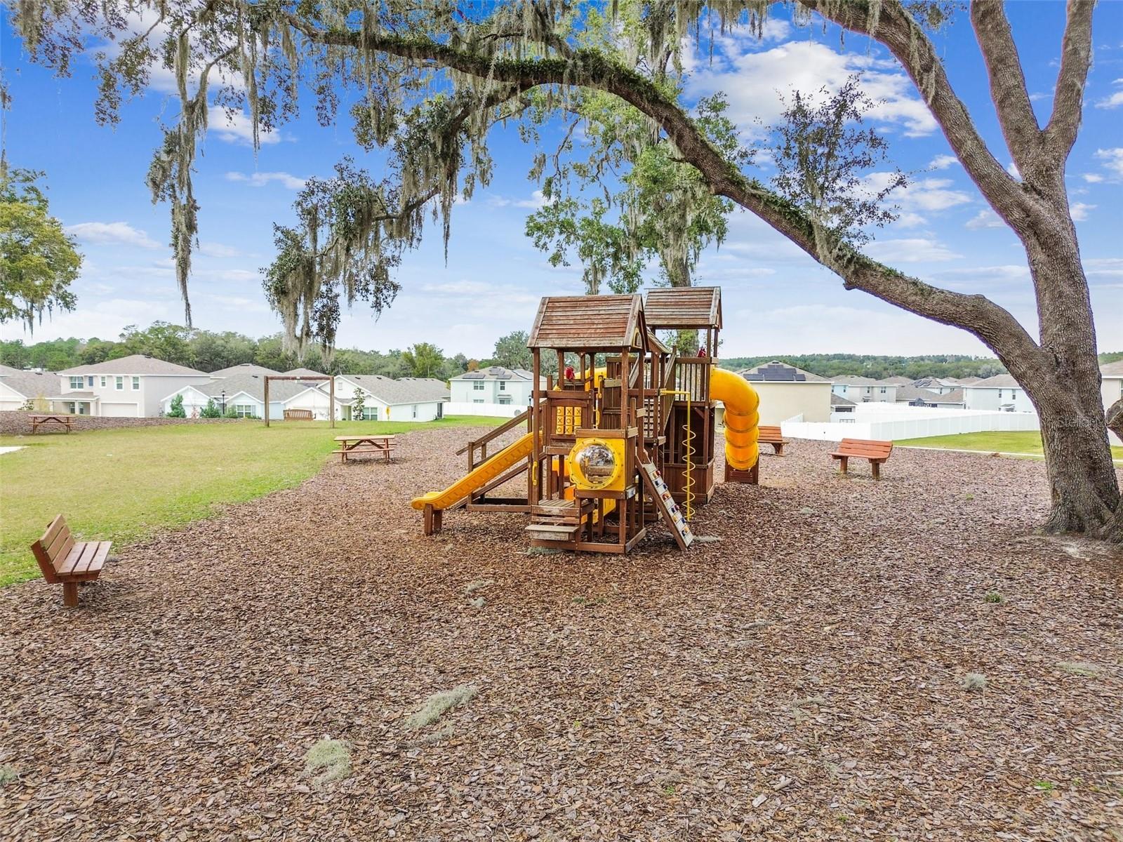 36673 SPANISH ROSE DR — photo 86
