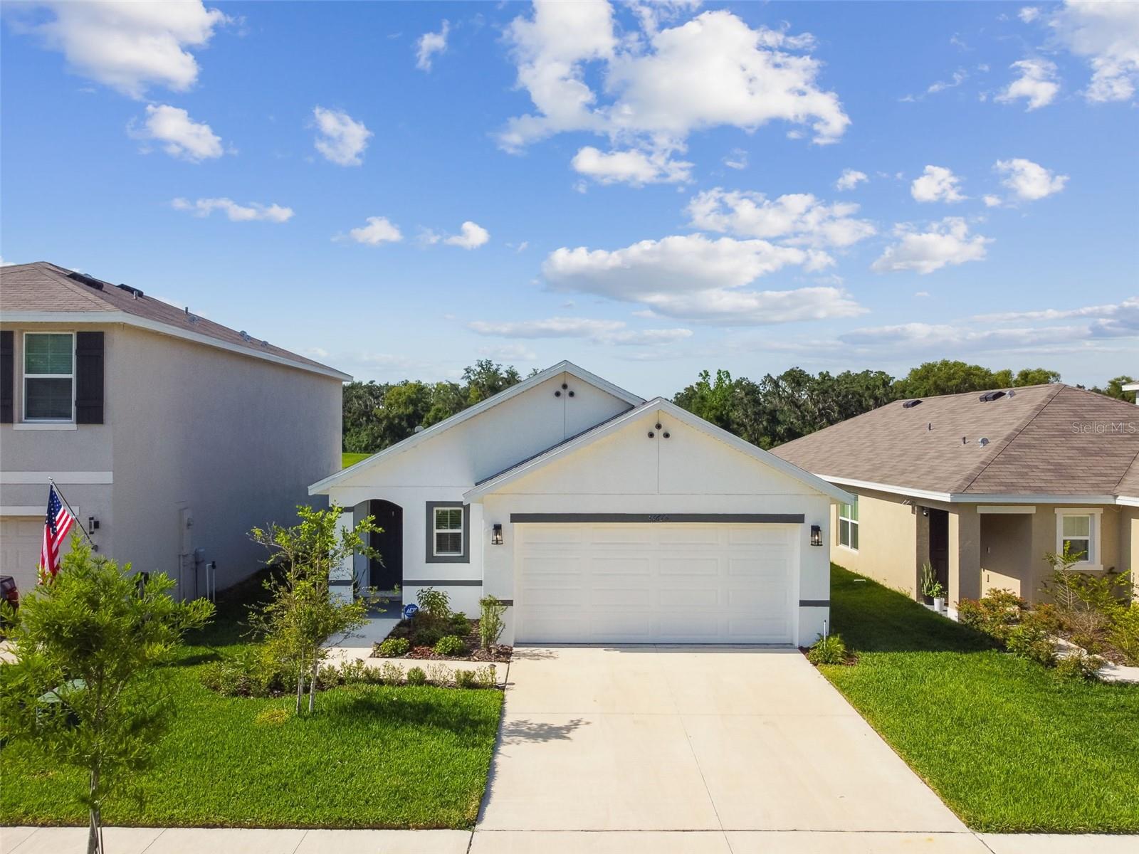 36673 SPANISH ROSE DR — photo 64