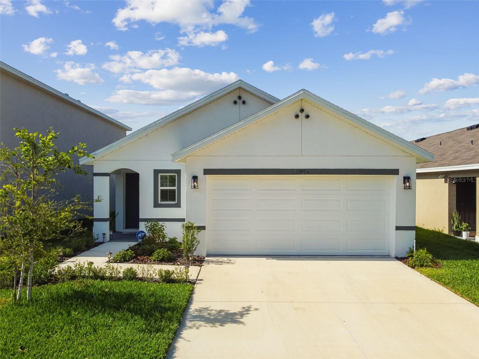 36673 SPANISH ROSE DR — photo 63