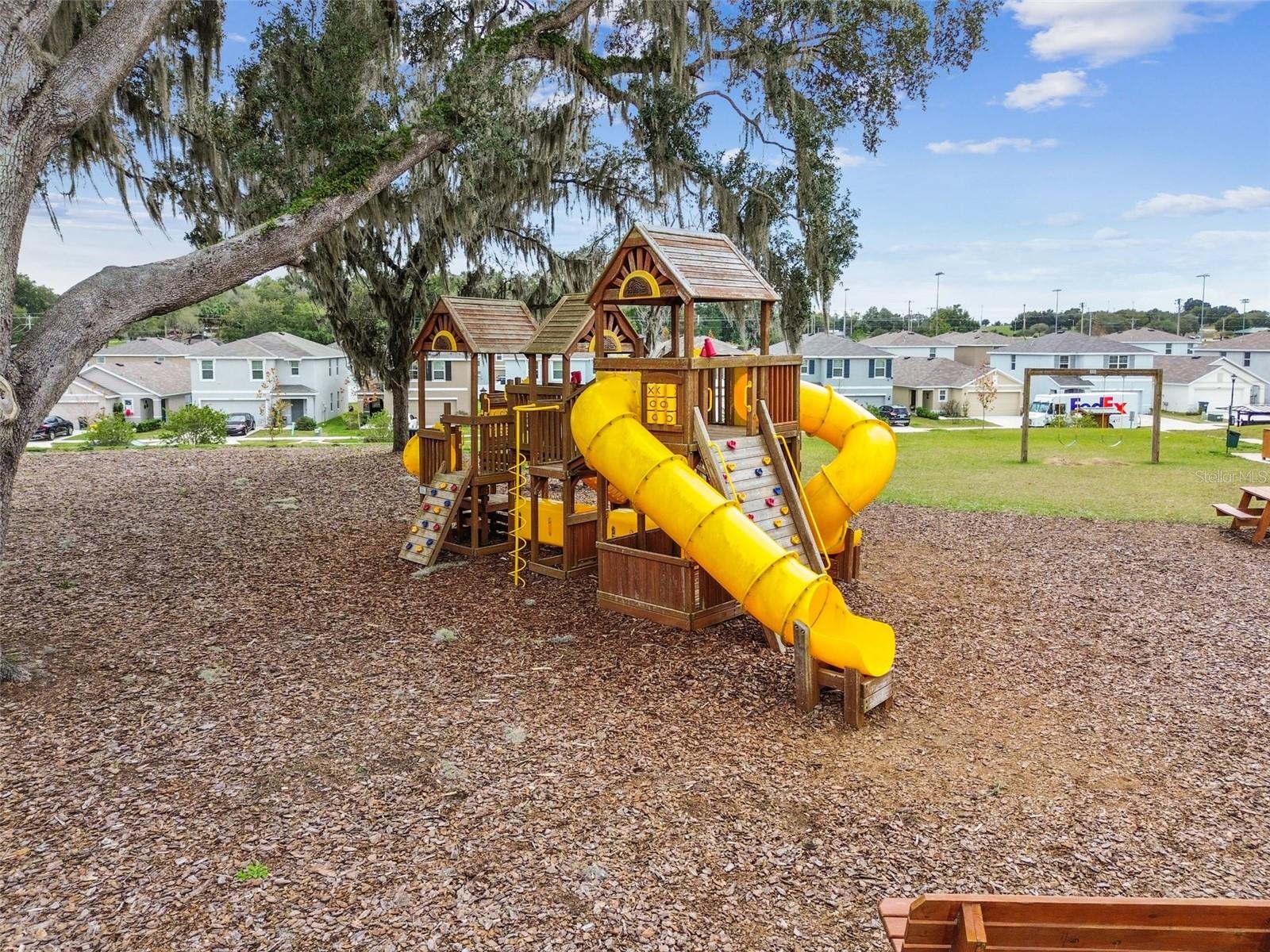 36673 SPANISH ROSE DR — photo 83