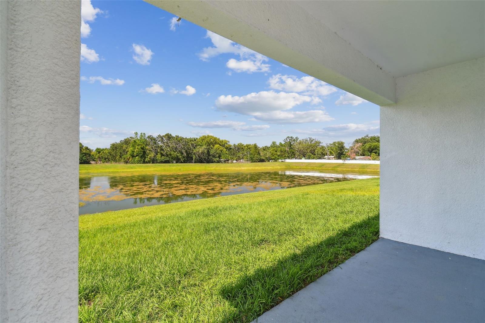 36673 SPANISH ROSE DR — photo 61
