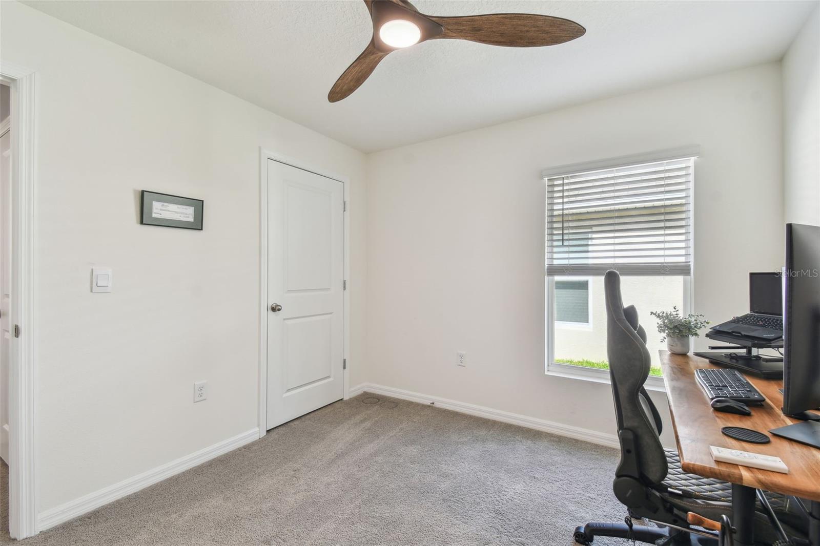 36673 SPANISH ROSE DR — photo 28