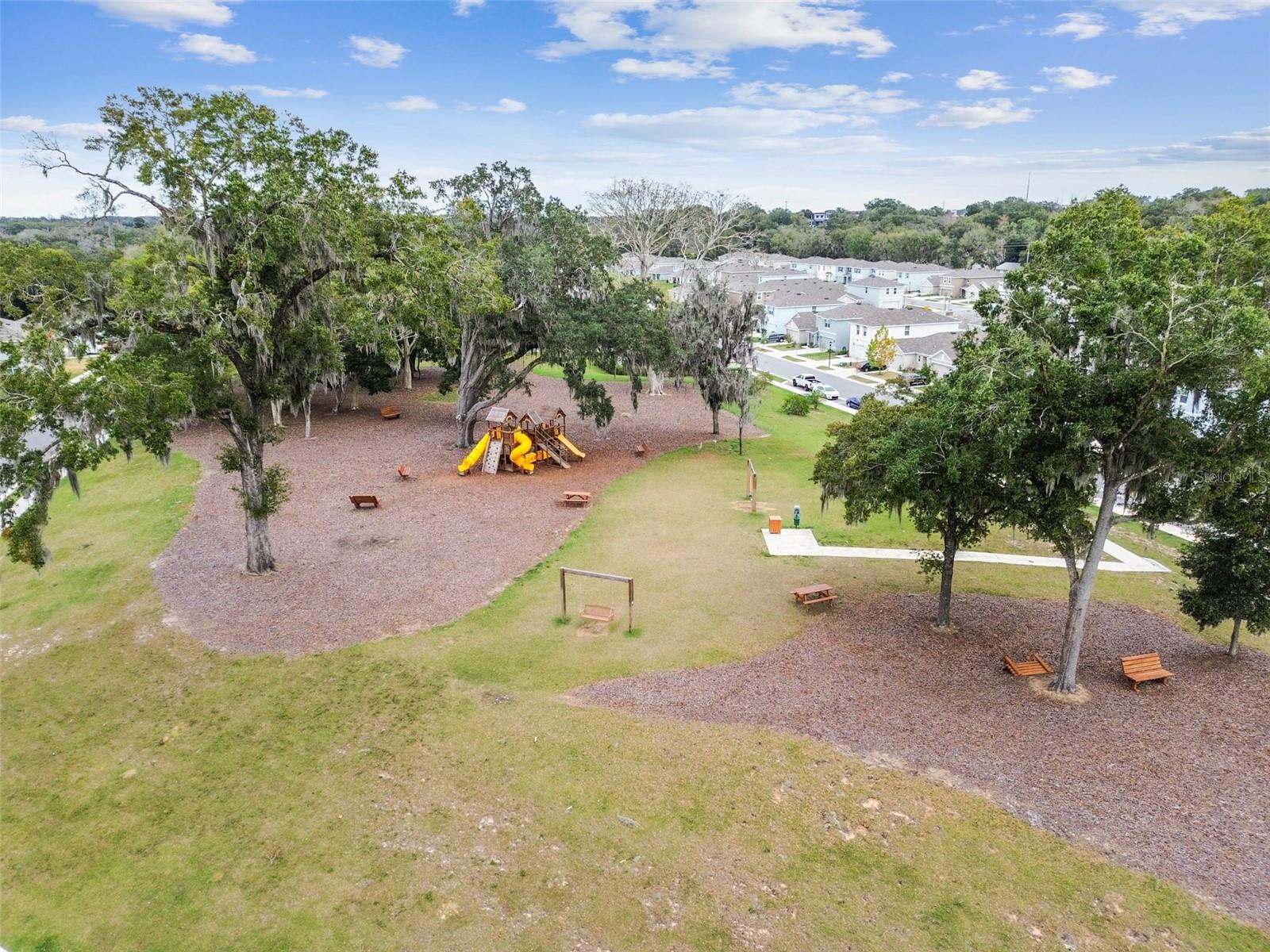 36673 SPANISH ROSE DR — photo 80