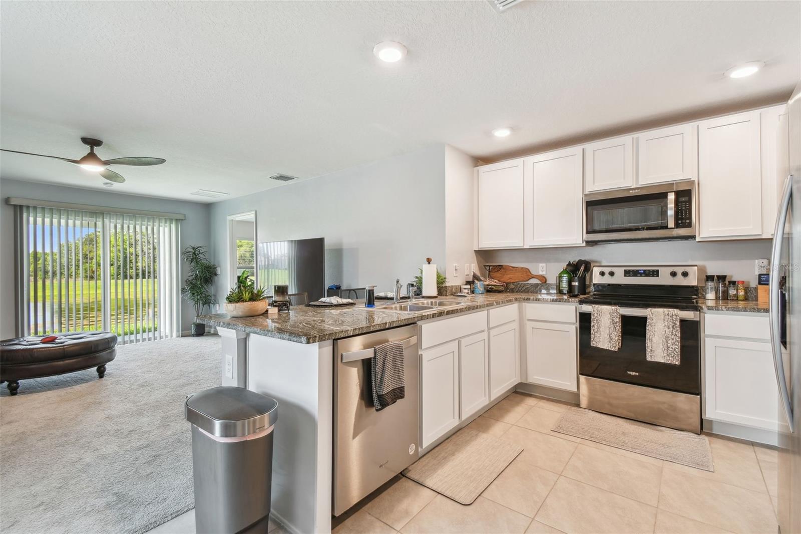 36673 SPANISH ROSE DR — photo 4