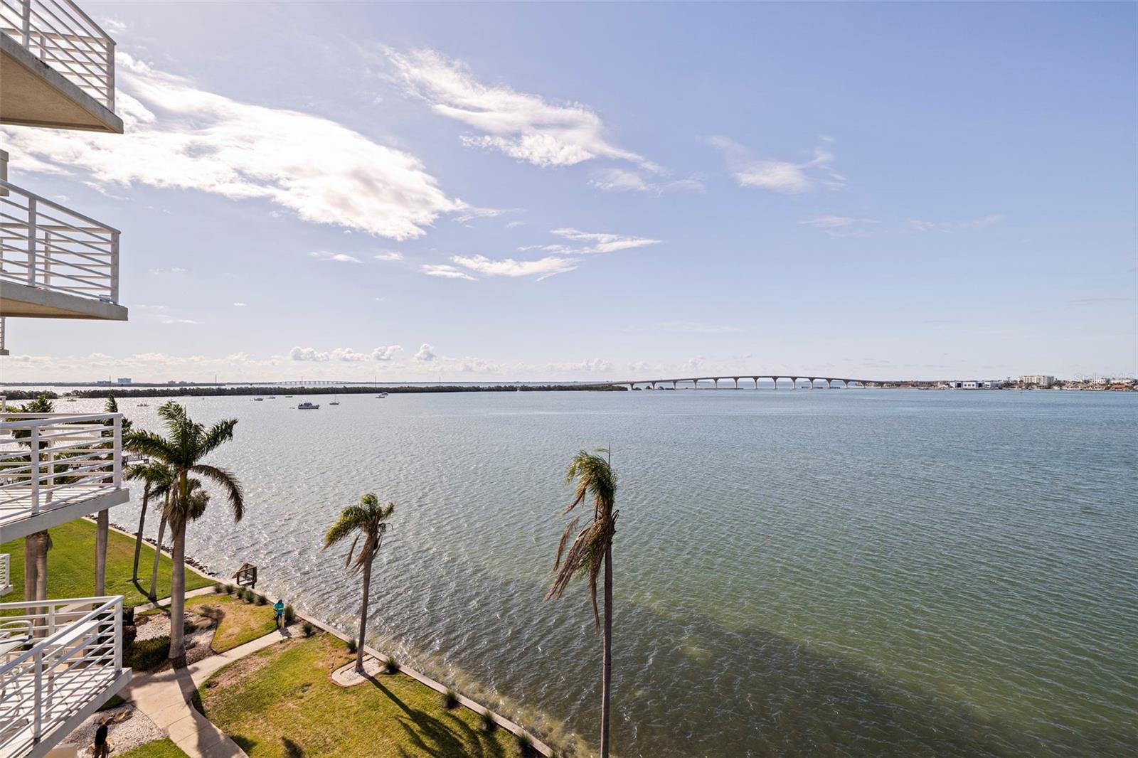 6105 BAHIA DEL MAR CIR #683 — photo 5