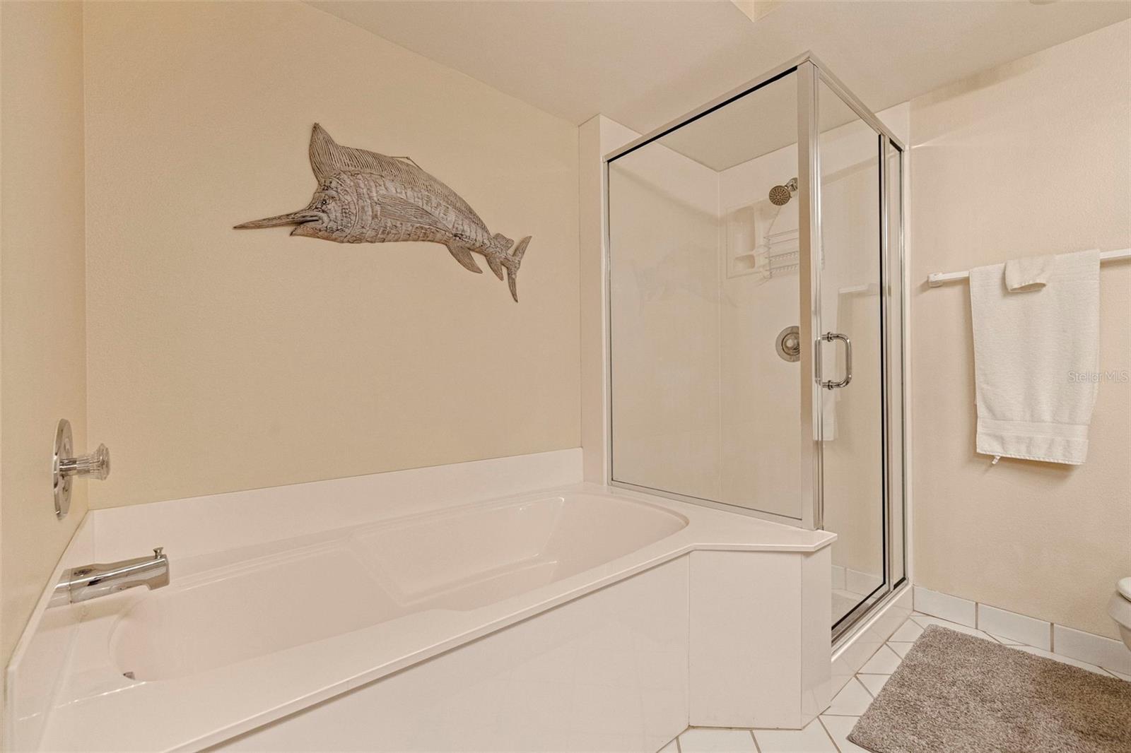 6105 BAHIA DEL MAR CIR #683 — photo 21