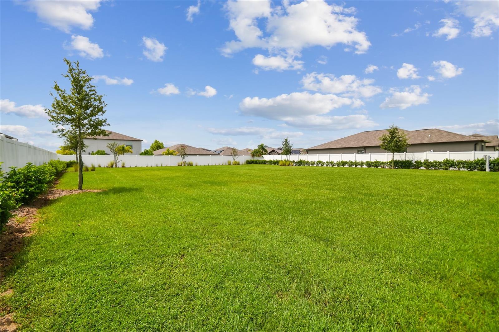 13603 WILD GINGER ST — photo 34