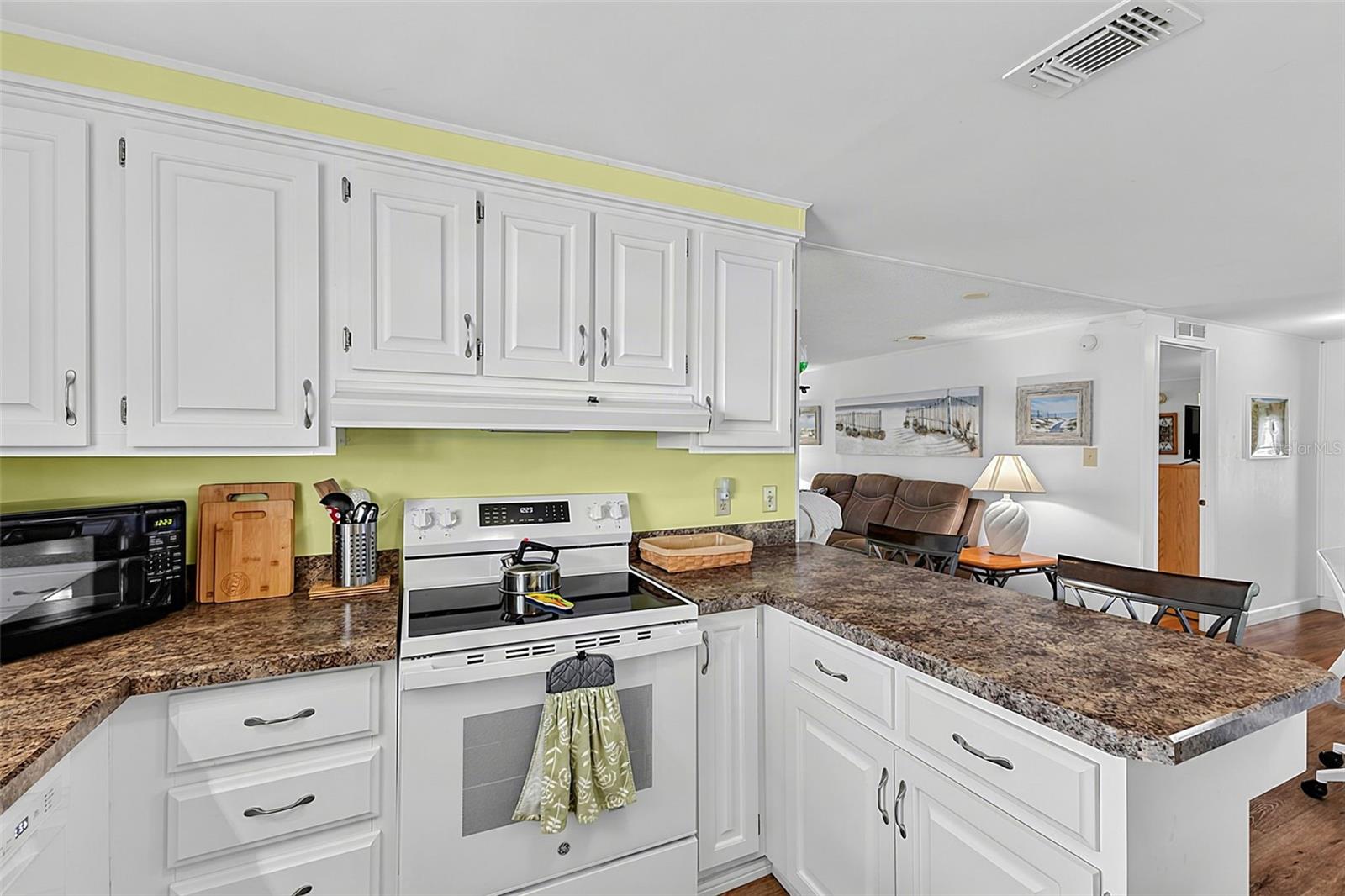 707 DEL LUNA DR — photo 6
