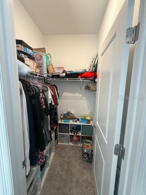 10607 LADYBUG CV — photo 17
